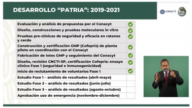 Calendario de desarrollo de la vacuna Patria
